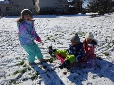 雪遊びに行ってきました