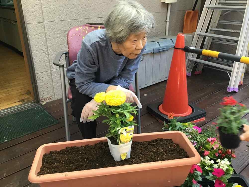 玄関の花を植え替えました。