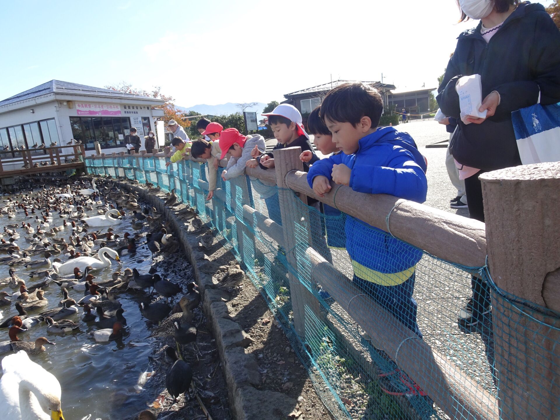 瓢湖に行ってきました！