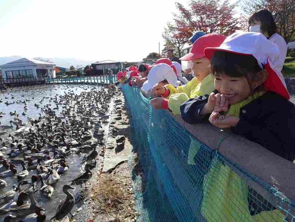 白鳥さん！