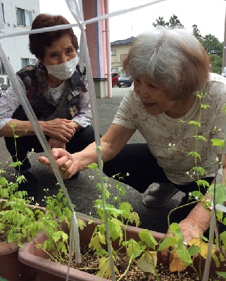 どんな花が咲くのかな？