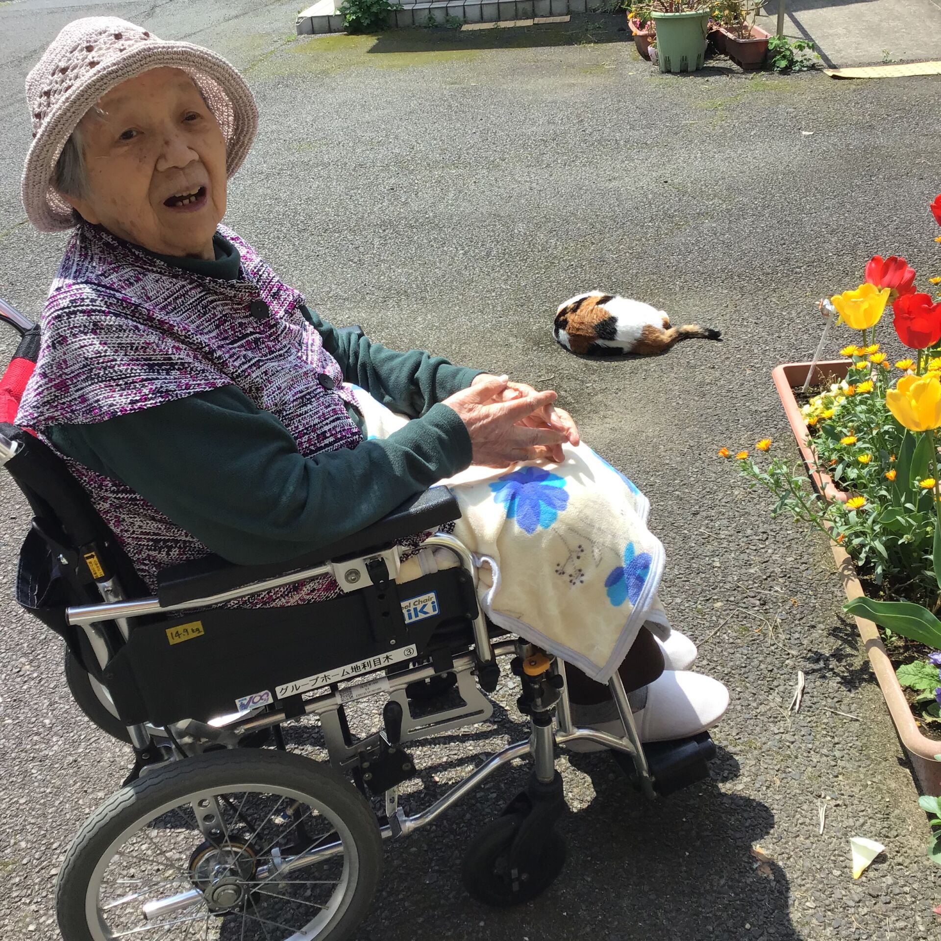 天気が良いので散歩です。