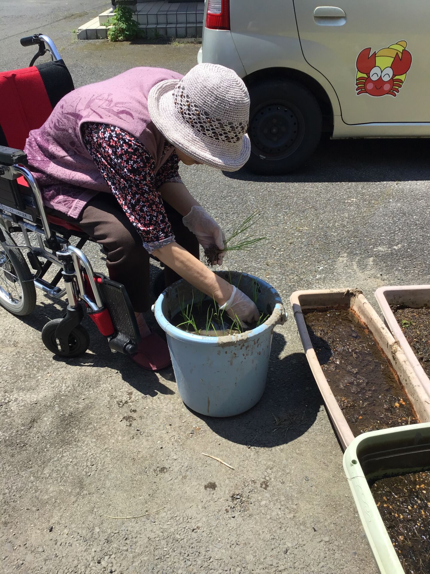 今年も田植えをしました。