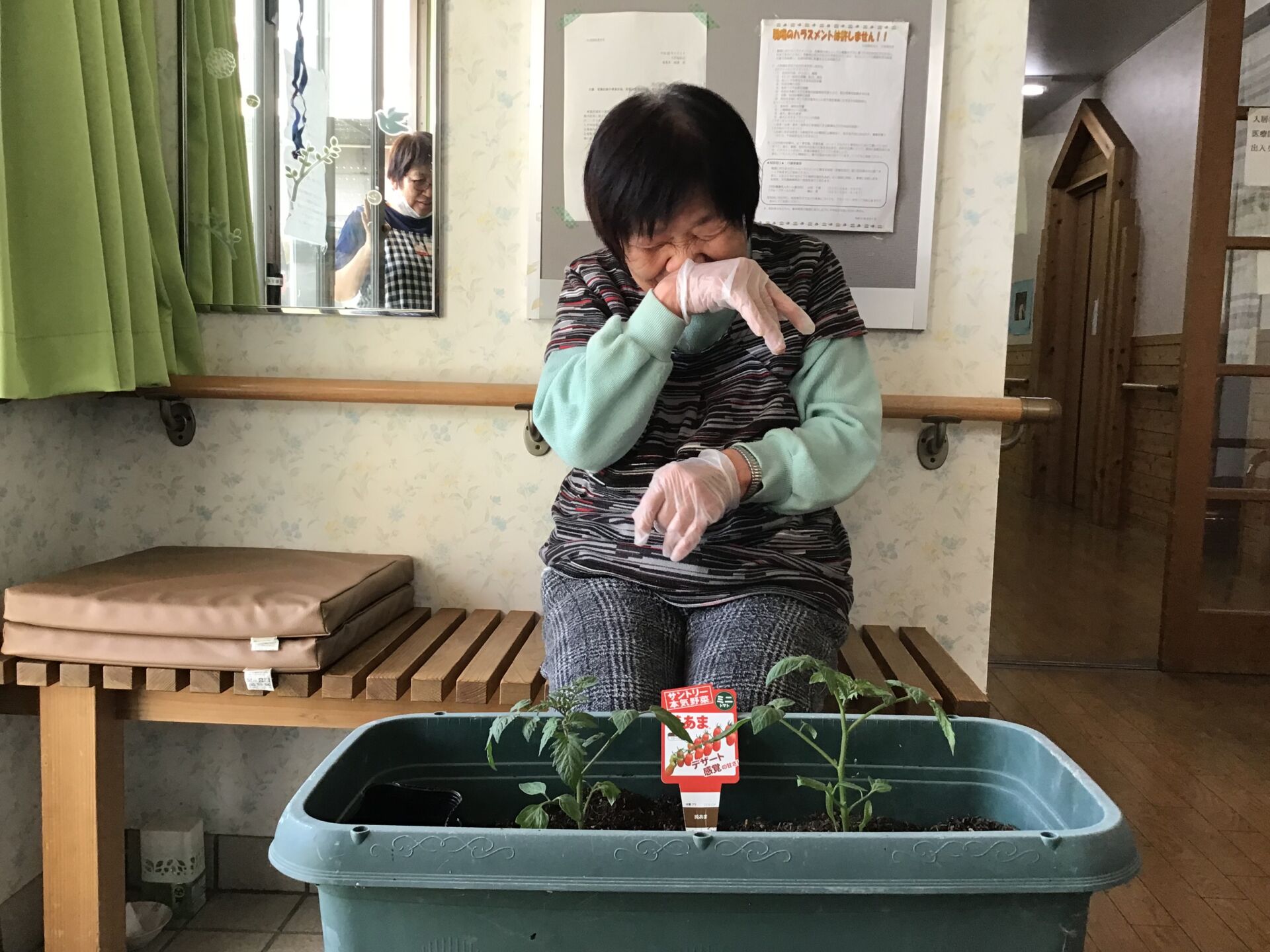 夏野菜を植えました。2