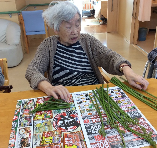 立派な蕨だね!