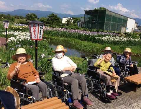 菖蒲が広がる素敵な景色♪