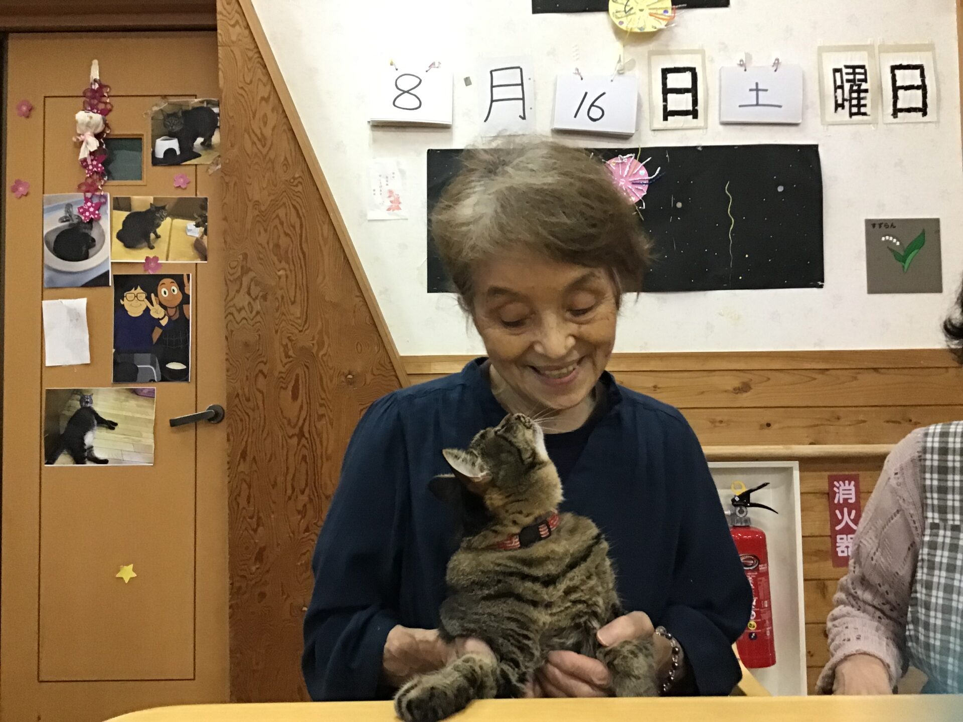 猫ちゃんよろしくね。