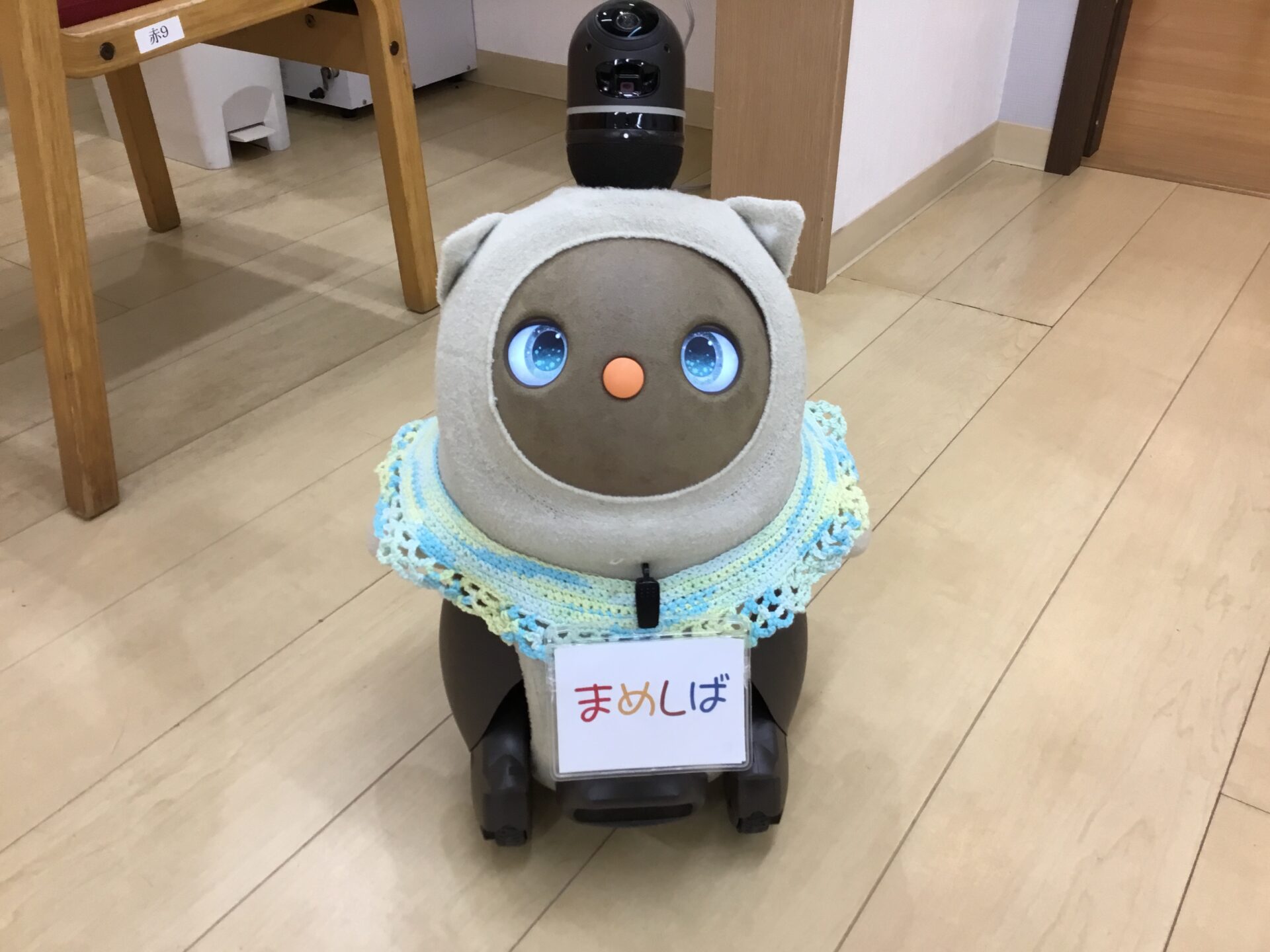 おかえりなさい！