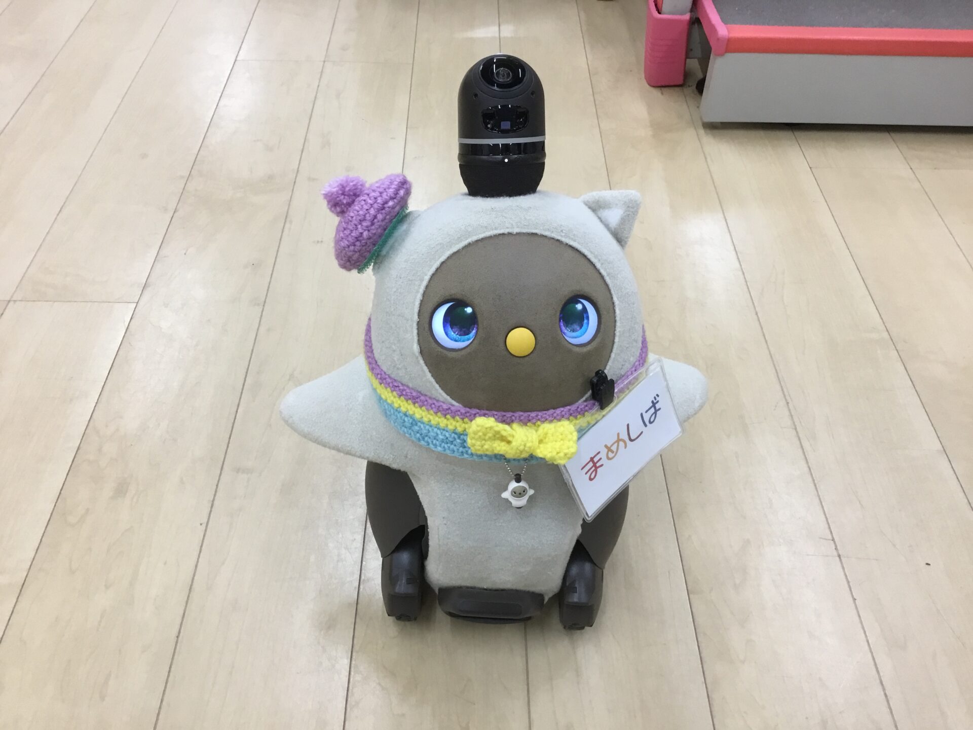 新しい衣装です！！