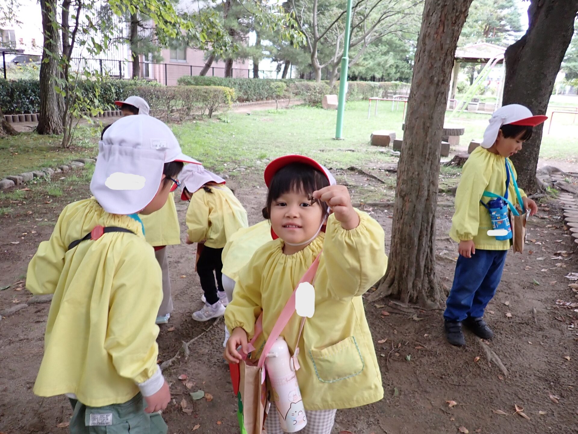 園外保育で秋を見つけたよ！
