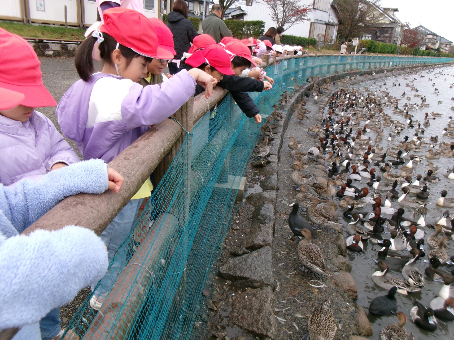 瓢湖に行ってきました！
