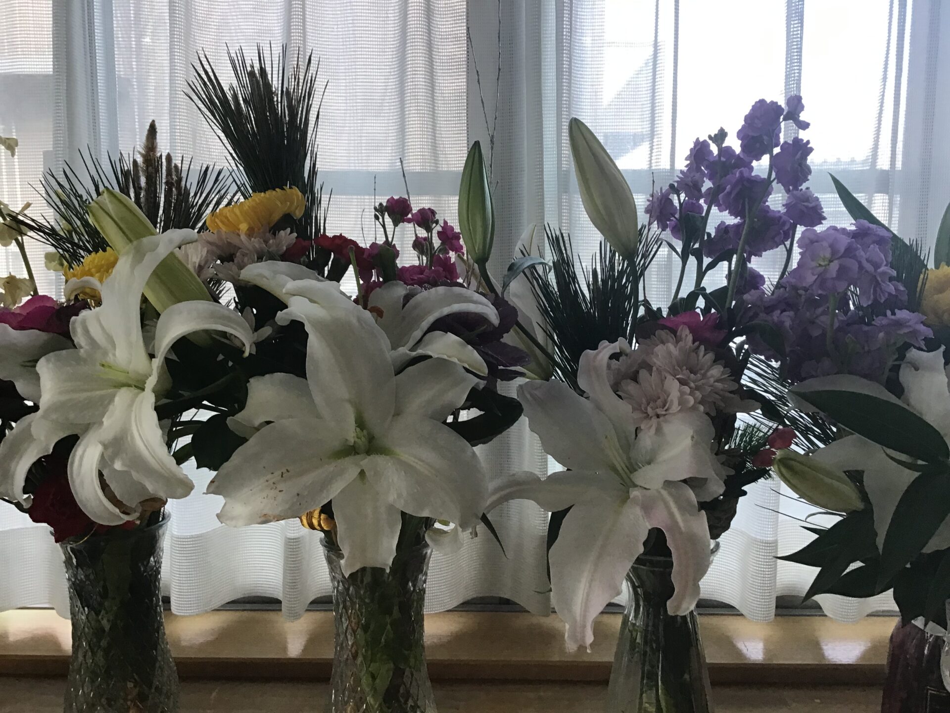 ユリの花が満開です。