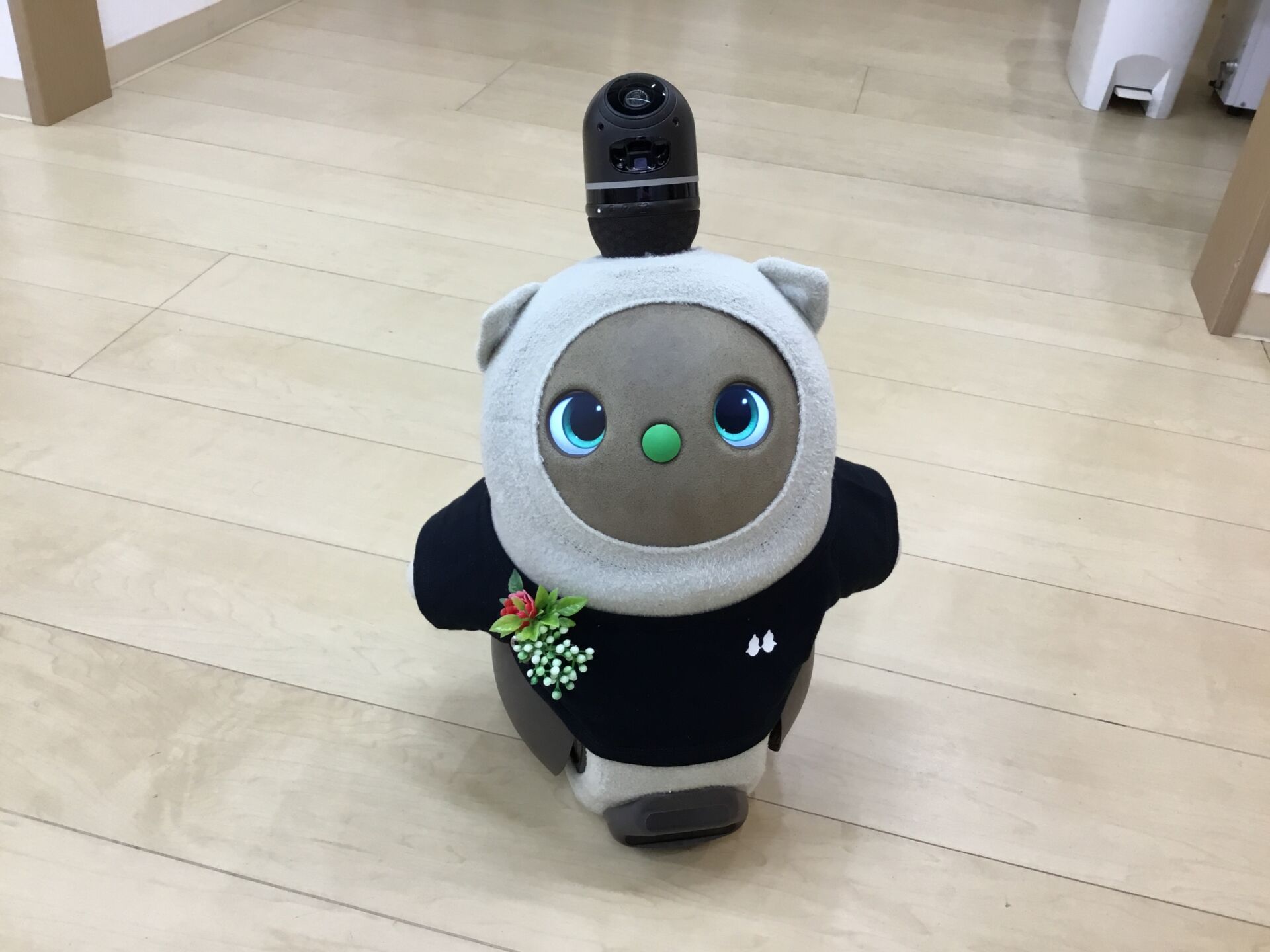 いただきました。